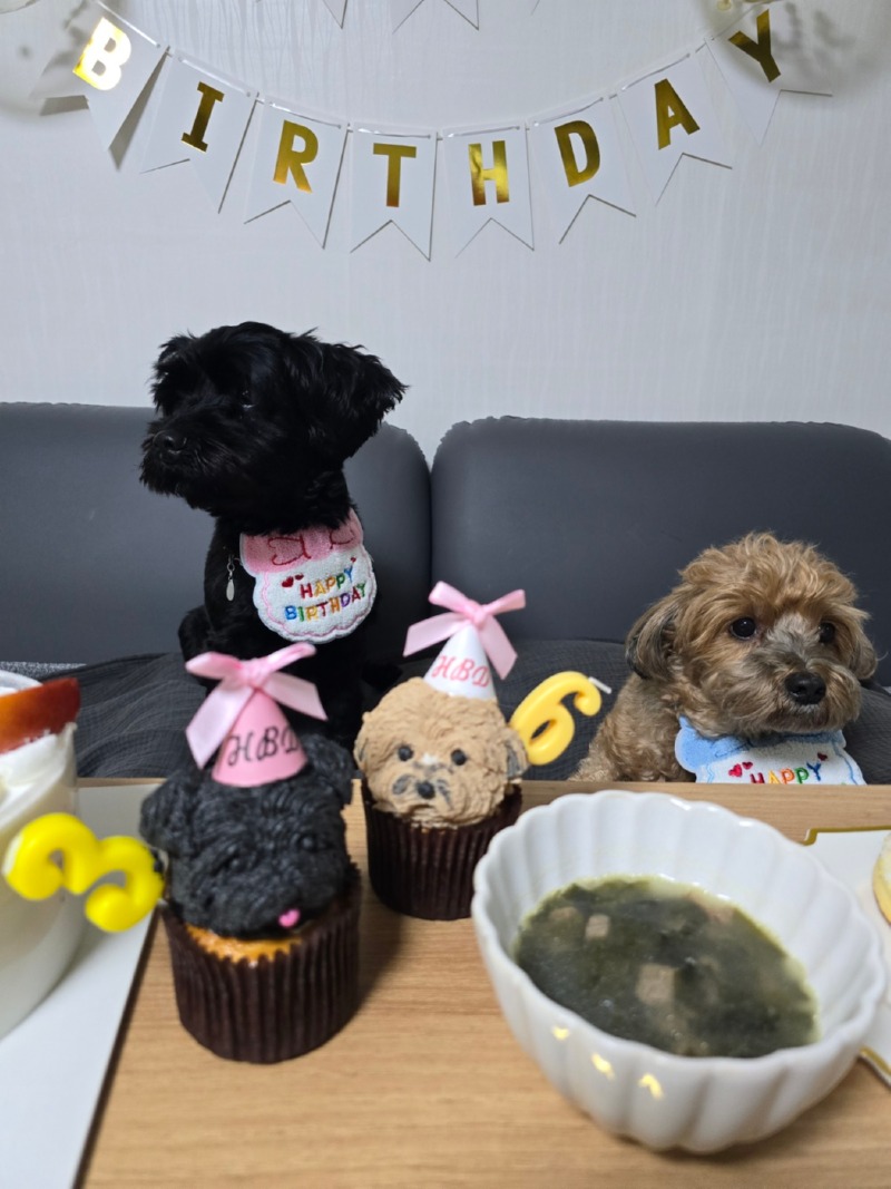 아가들 생일♥ 