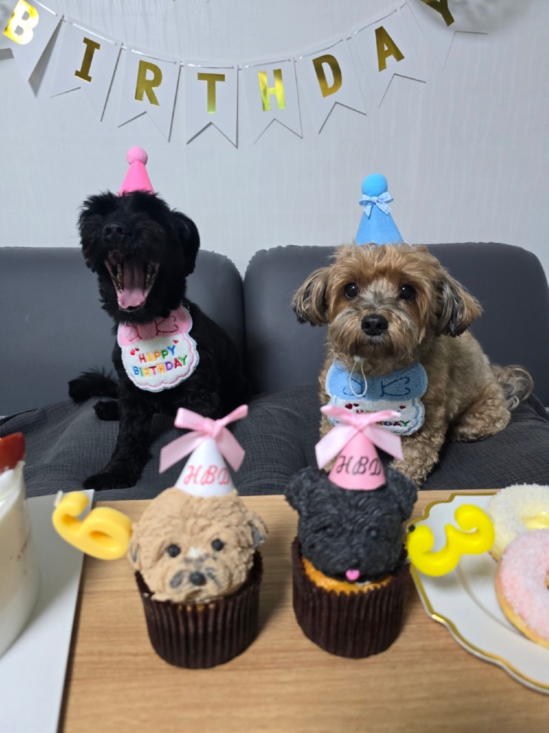 KakaoTalk_20250214_142933301.jpg