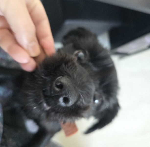 스크린샷_14-2-2025_164337_my.coupang.com.jpeg