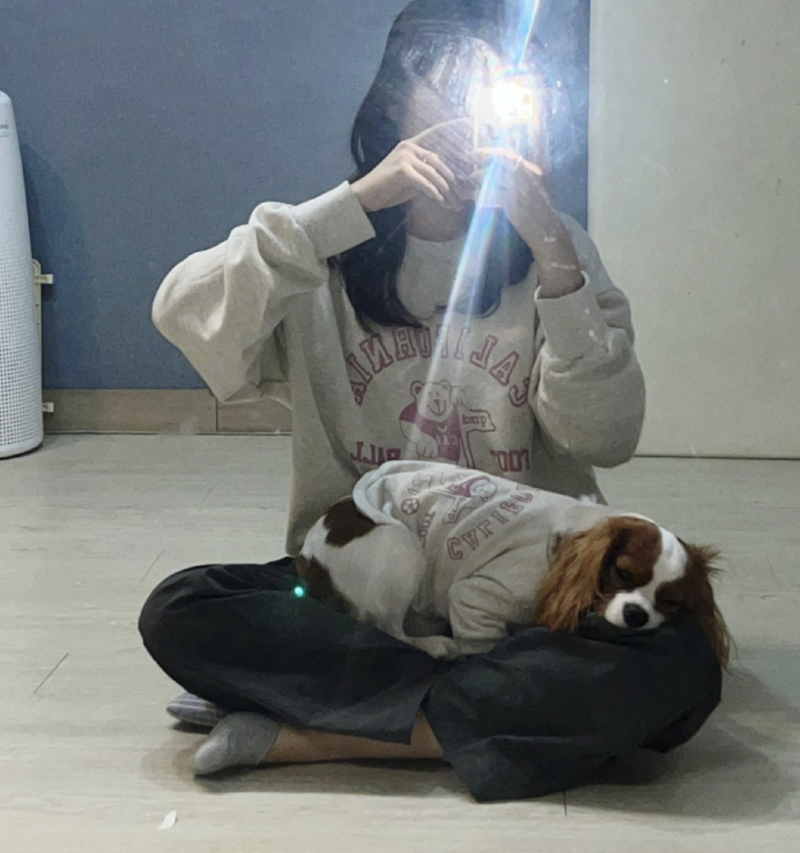 따뜻하고 귀여운 강아지 커플룩 "댕댕탱"