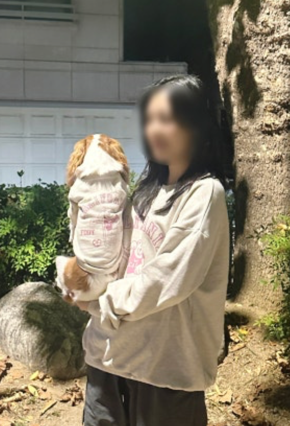 따뜻하고 귀여운 강아지 커플룩 "댕댕탱"