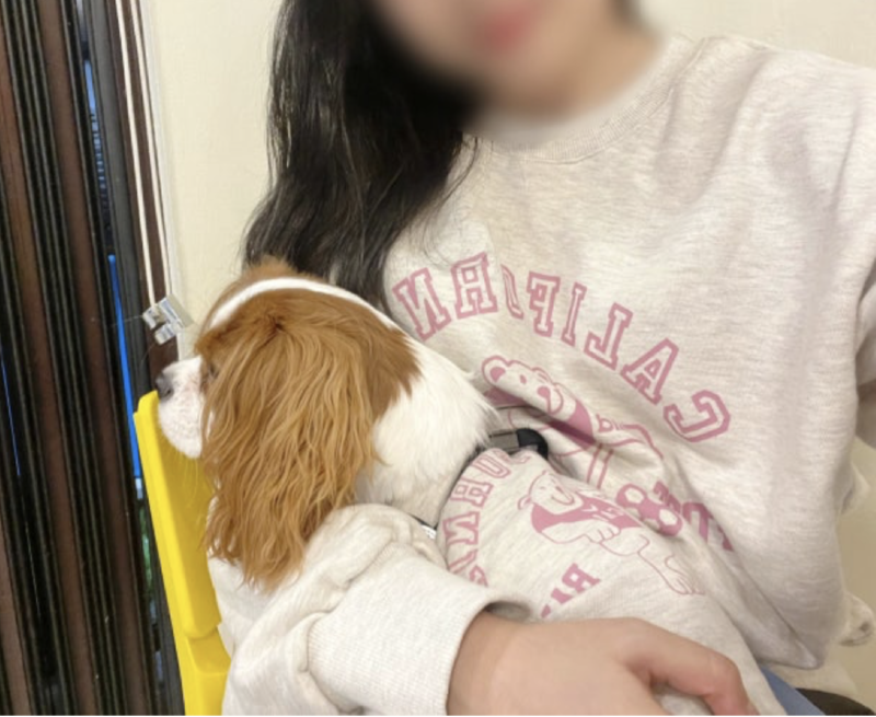 따뜻하고 귀여운 강아지 커플룩 "댕댕탱"