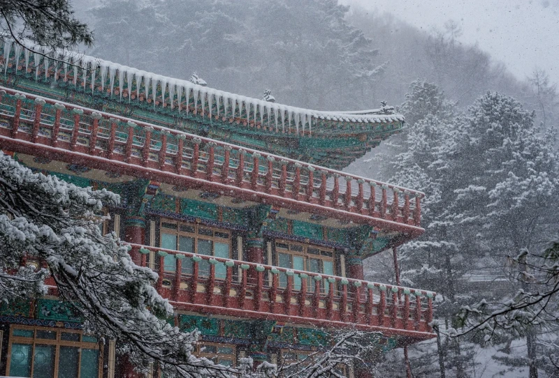 단양 구인사의 설경 