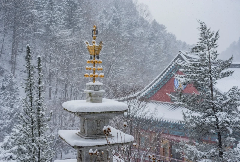 단양 구인사의 설경 