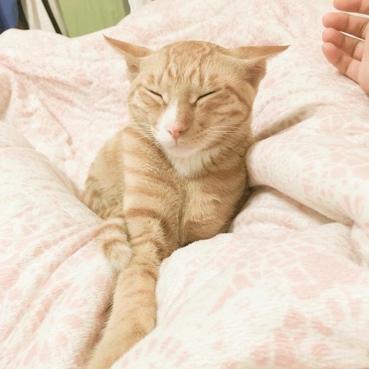 헬요일...ㅠ