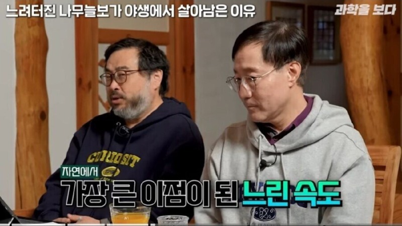 나무늘보가 야생에서 멸종하지 않은 이유