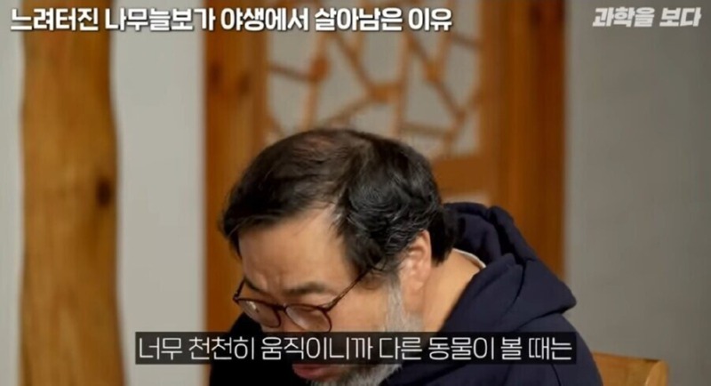 나무늘보가 야생에서 멸종하지 않은 이유