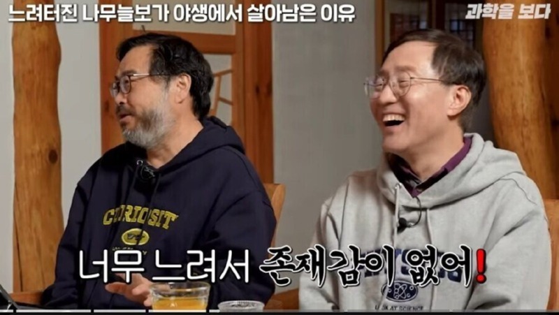 나무늘보가 야생에서 멸종하지 않은 이유