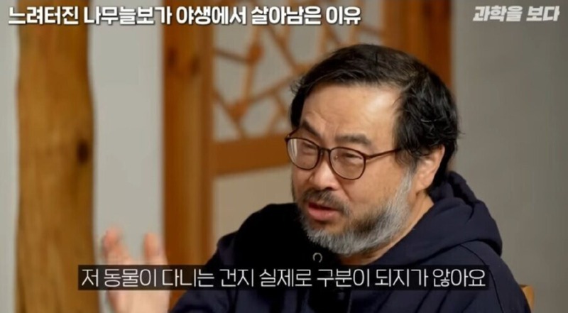 나무늘보가 야생에서 멸종하지 않은 이유