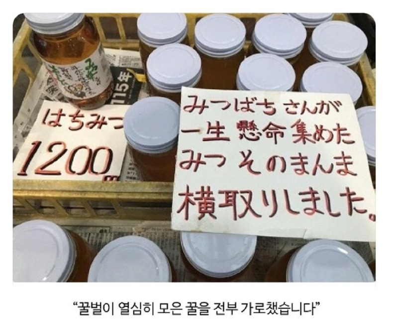 갈취와 약탈로 만들어진 물건