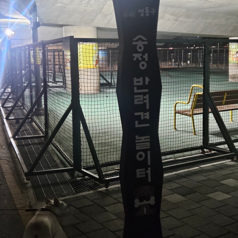 송정 반려견 놀이터