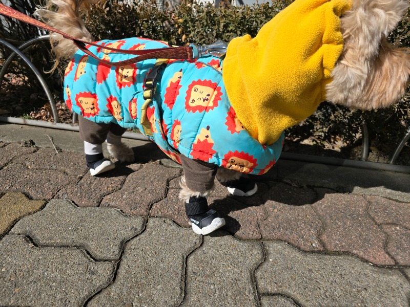 1000070857.jpg