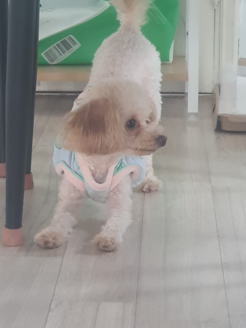 오늘의 감자