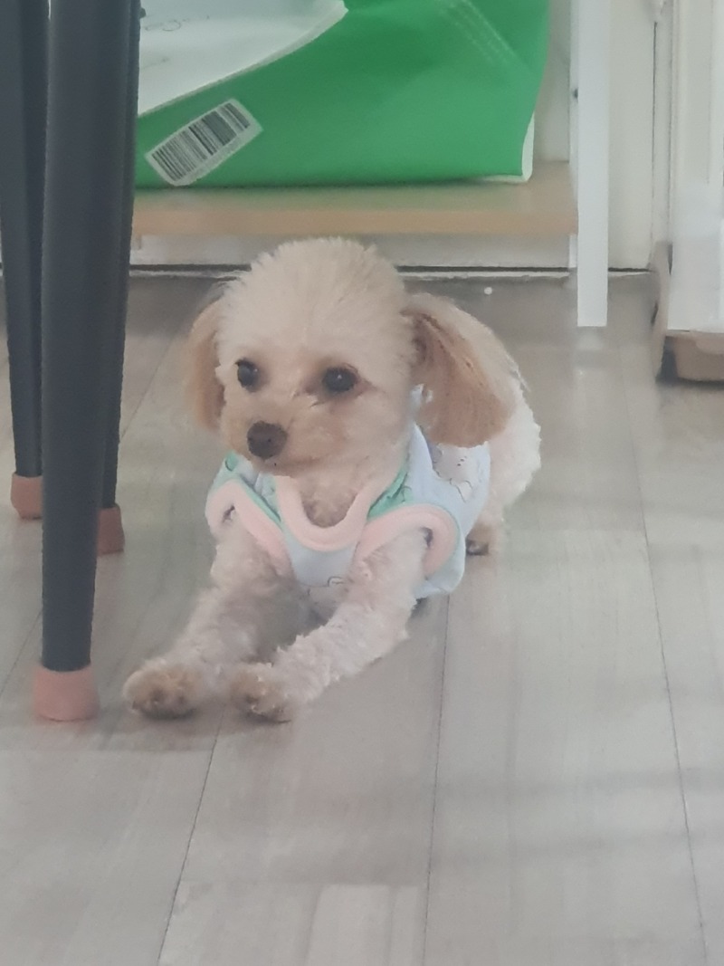 오늘의 감자