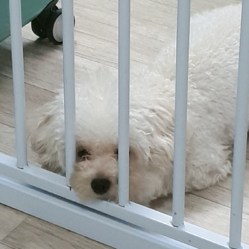오늘의 탕이