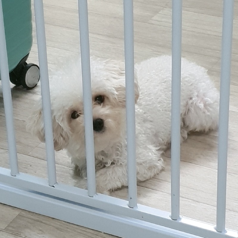 오늘의 탕이