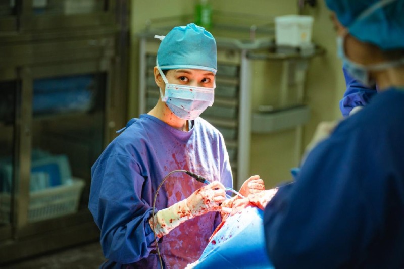 박은빈 최근 출연작 근황. 