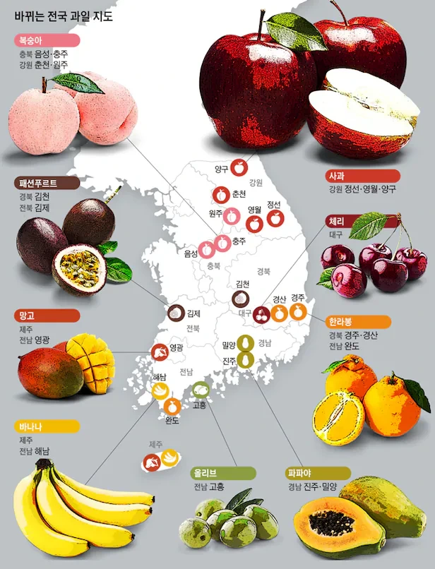 이제는 바뀌어버린 대한민국 과일지도 