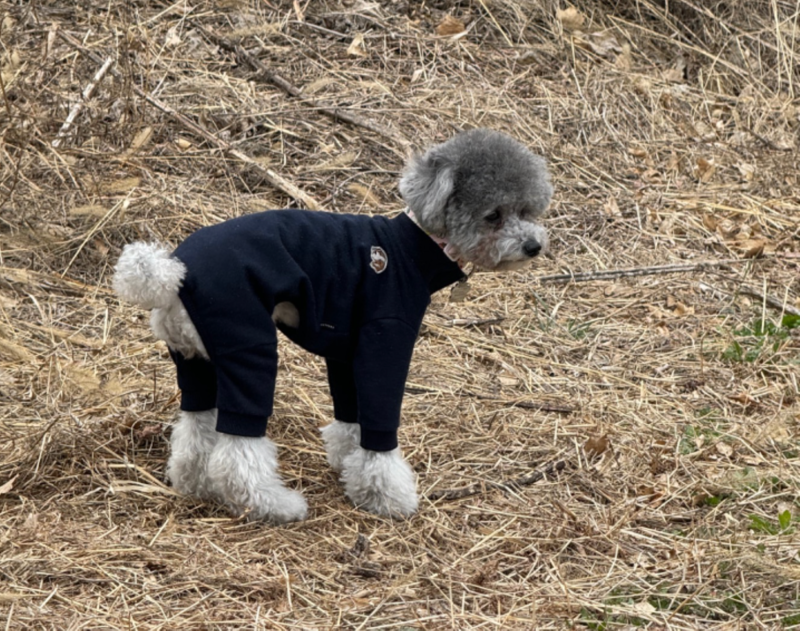 꼬까옷 입은 설