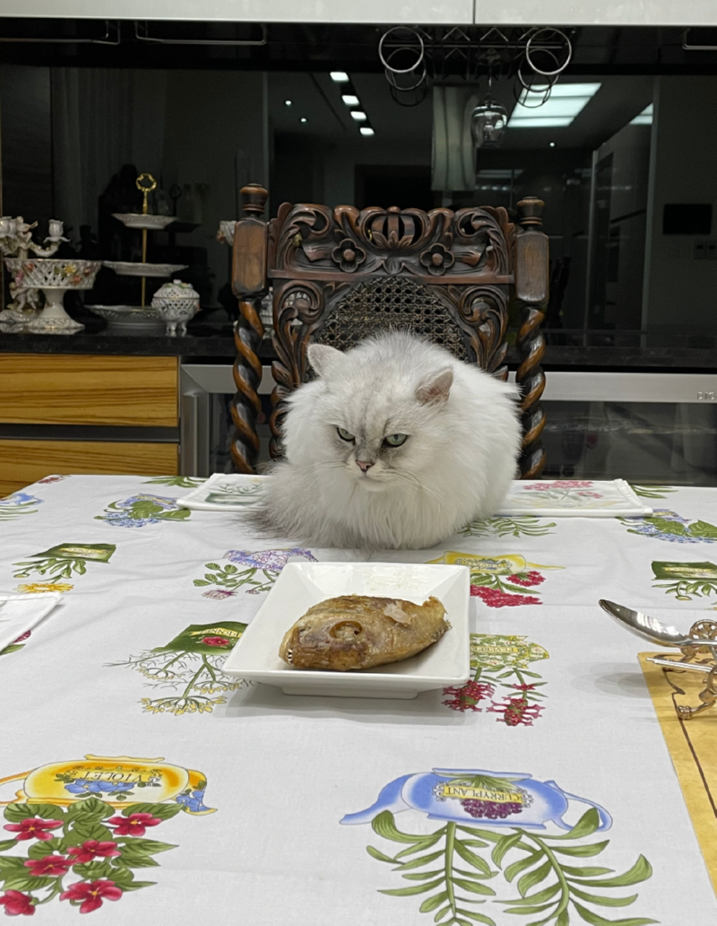 생선은 싫은 루루