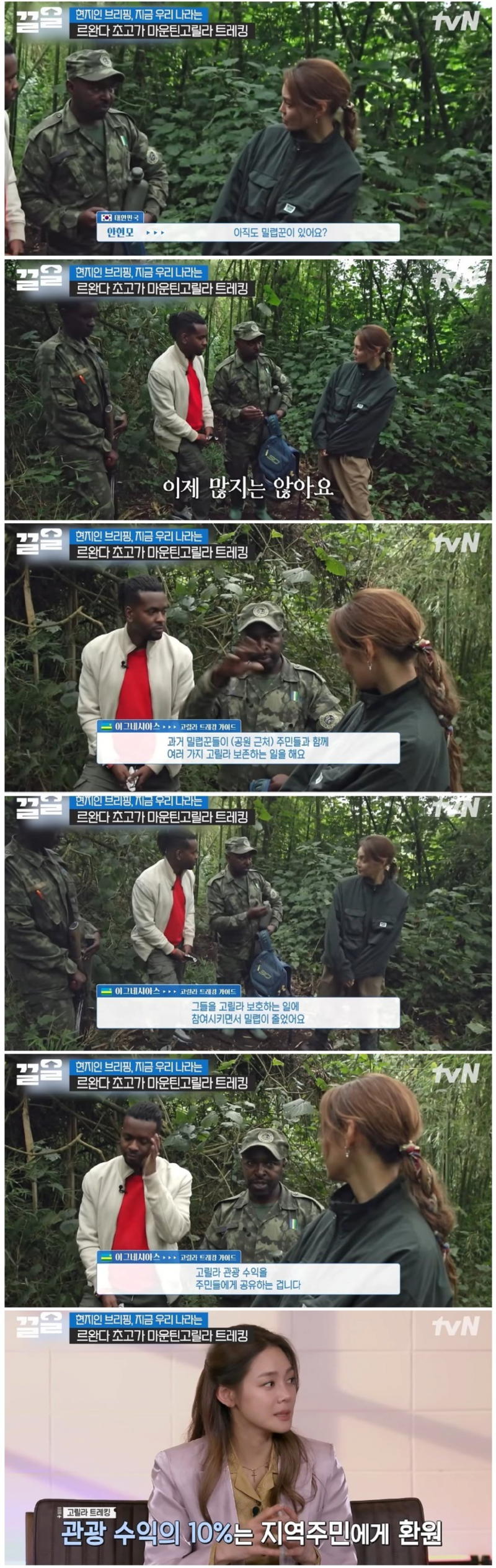 아프리카에서 고릴라 밀렵꾼들이 사라진 이유 