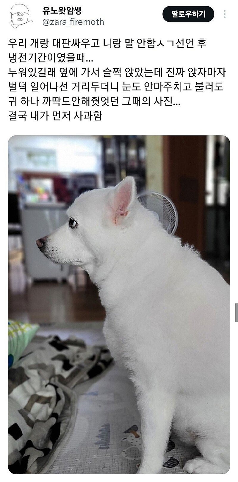 강아쥐랑 싸우고 난 후... 