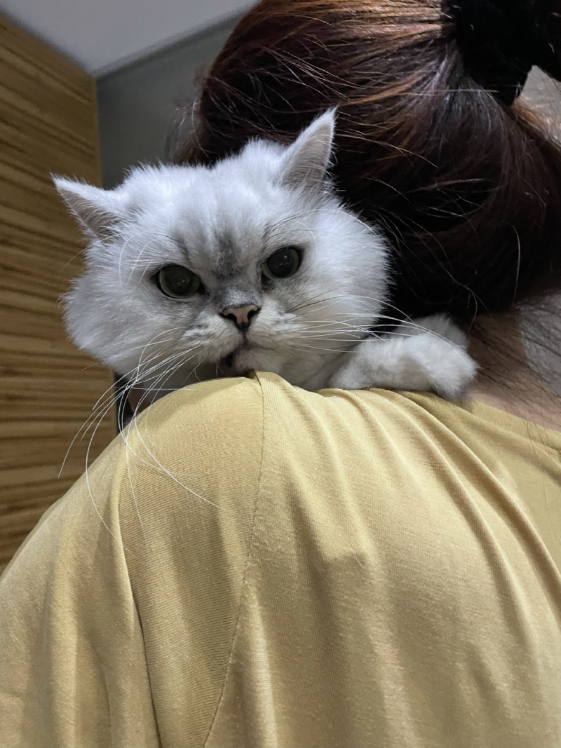 애기 나나