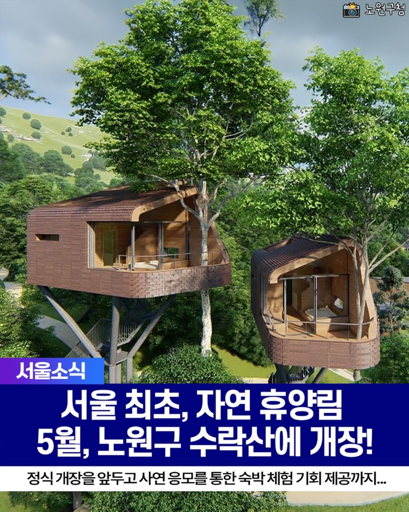 서울 최초의🌳자연휴양림 수락휴, 오픈 예정