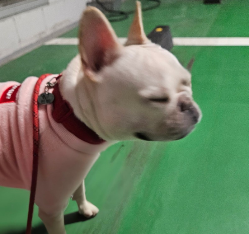 찐빵 