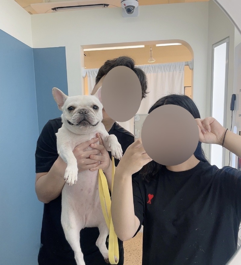 3pic 홍대점 애견동반 사진