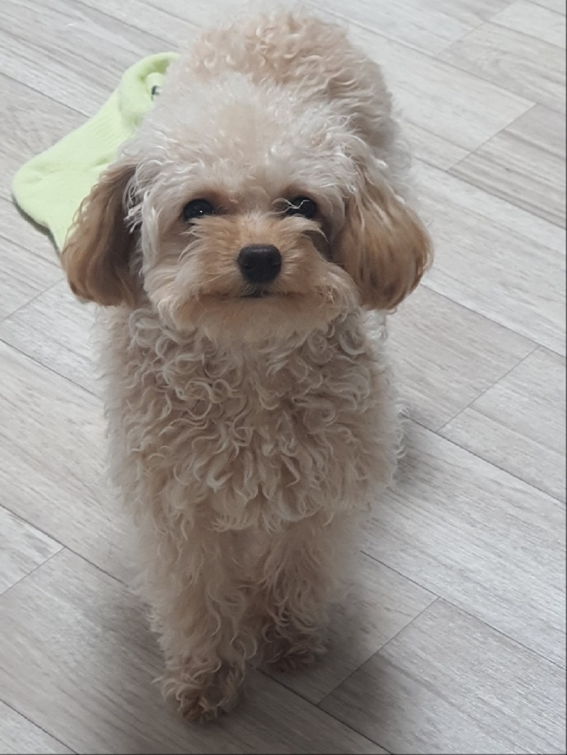 오늘자 감자