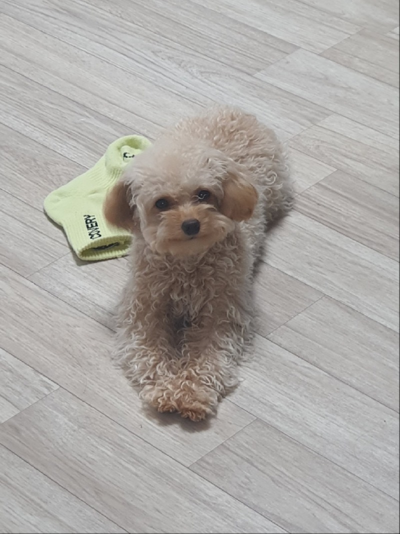 오늘자 감자