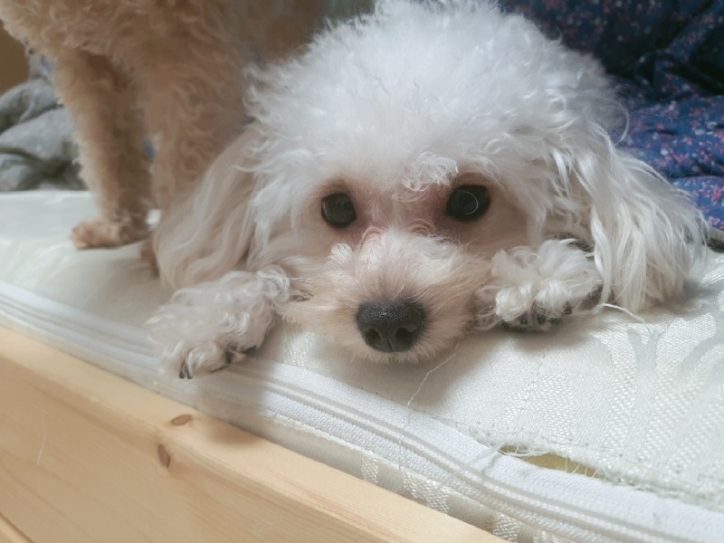 오늘자 탕이