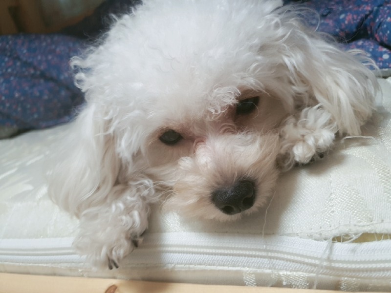 오늘자 탕이