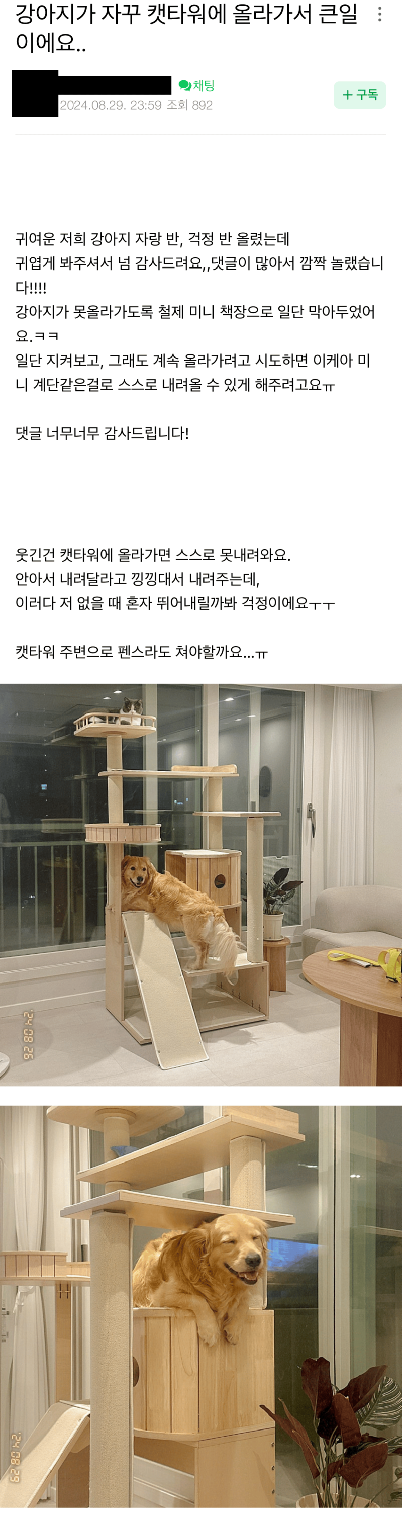 강아지가 자꾸 캣타워 올라갑니다...