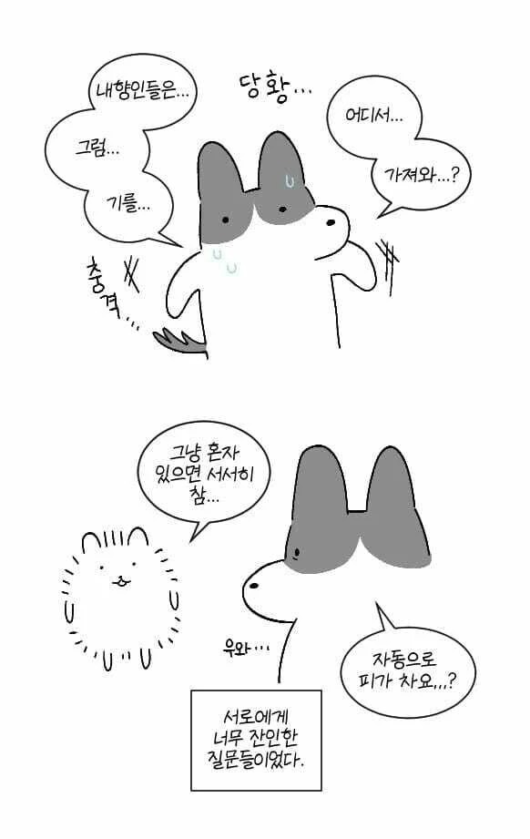 내향인과 외향인의 차이점.manhwa