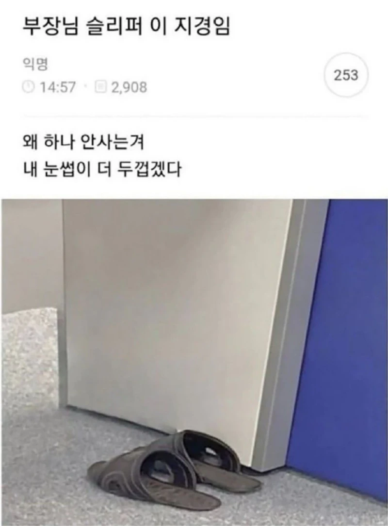 부장님이 신고 계시는 슬리퍼 수준