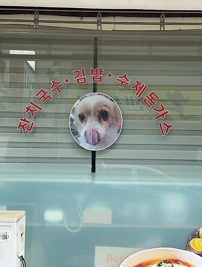 그냥 갑자기 아무 맥락없이 강아지 자랑하는 사장님들 