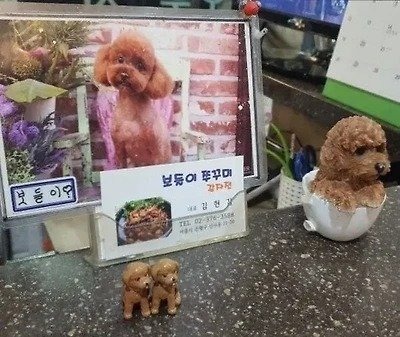 그냥 갑자기 아무 맥락없이 강아지 자랑하는 사장님들 