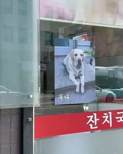 그냥 갑자기 아무 맥락없이 강아지 자랑하는 사장님들 