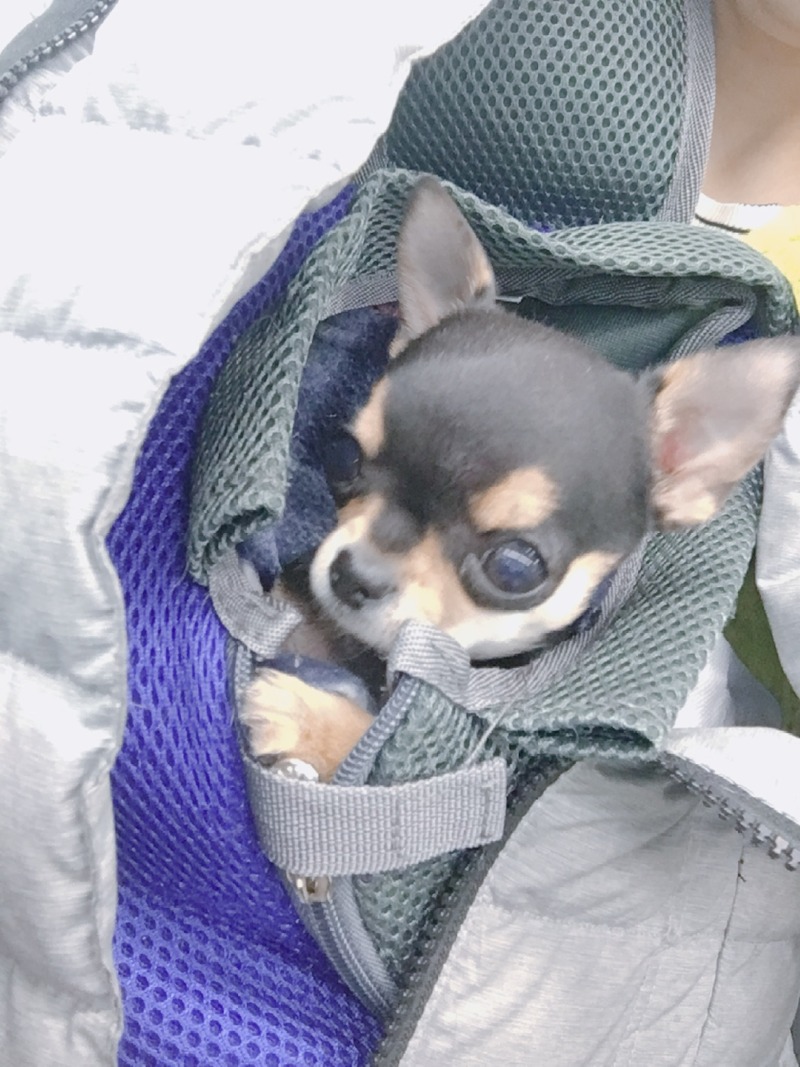 꾸미에요! 잘부탁드려여