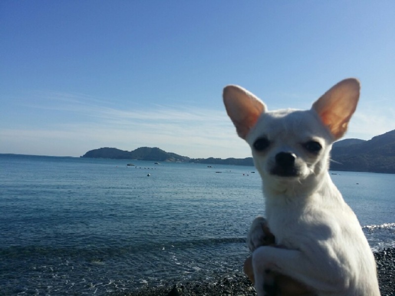최고 동안인 다미에용!!