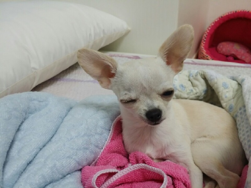 최고 동안인 다미에용!!