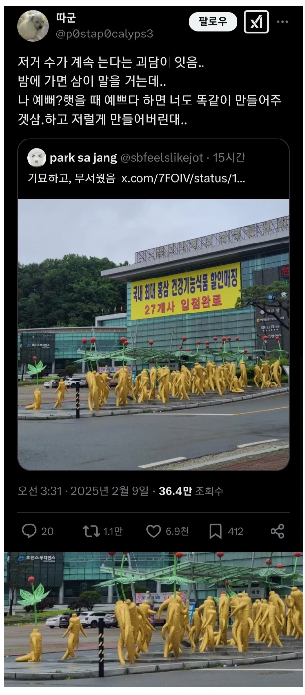금산군의 인삼 괴담.jpg