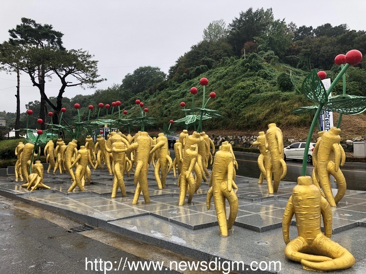 금산군의 인삼 괴담.jpg