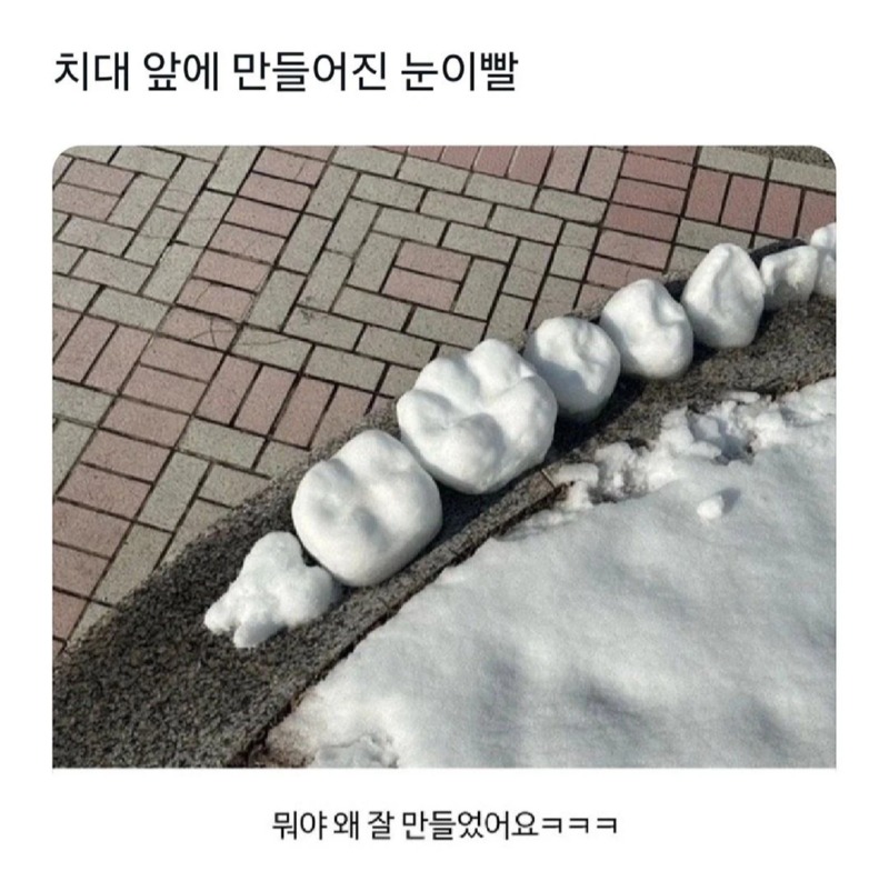 치대 앞에 만들어진 눈 이빨