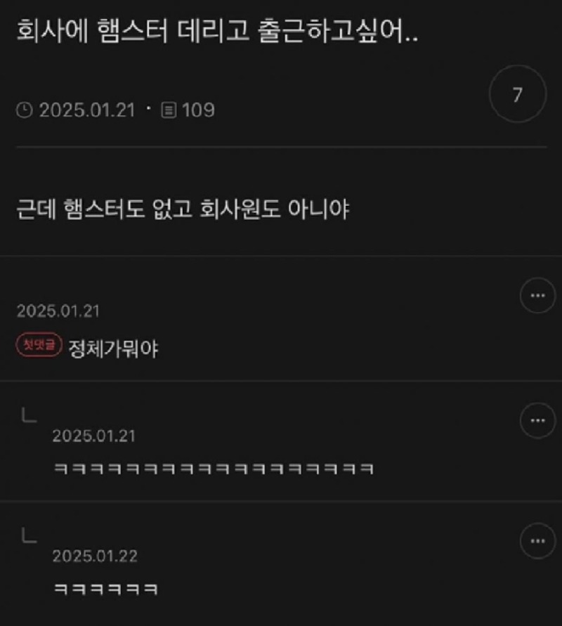 회사에 햄스터 데리고 출근하고싶다