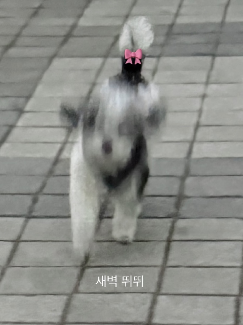 산책 설