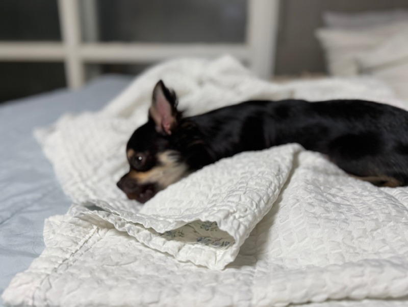 막둥이 만세!