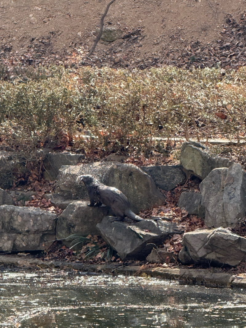 경북대학교 근황🦦🦦🦦